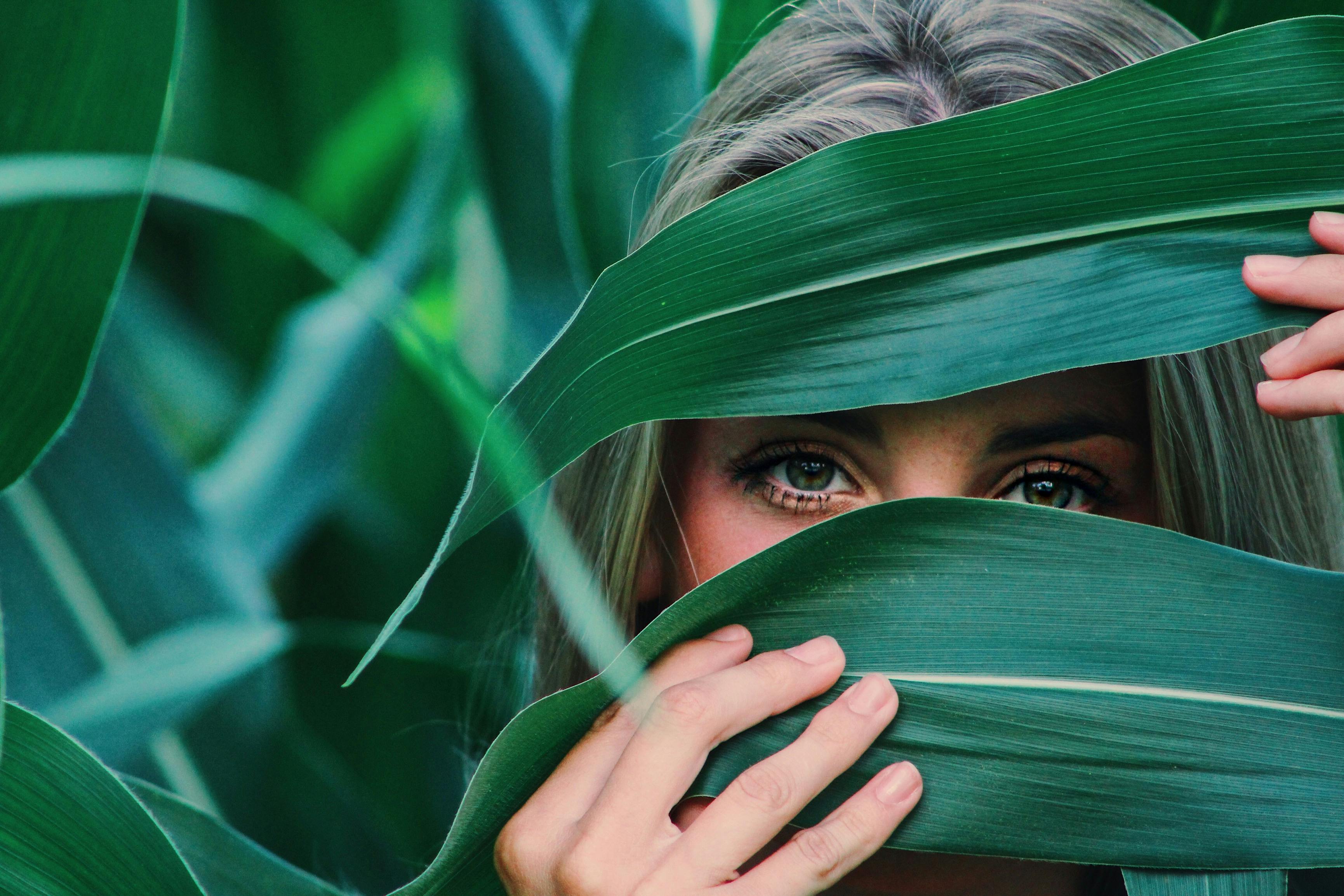 Les Secrets des Plantes - Matrimoine Botanique 